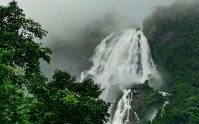 Top 10 Waterfalls In India You Must See
