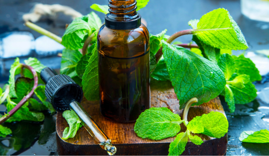 10 Uses of Peppermint Oil For Healthier Skin & Hair