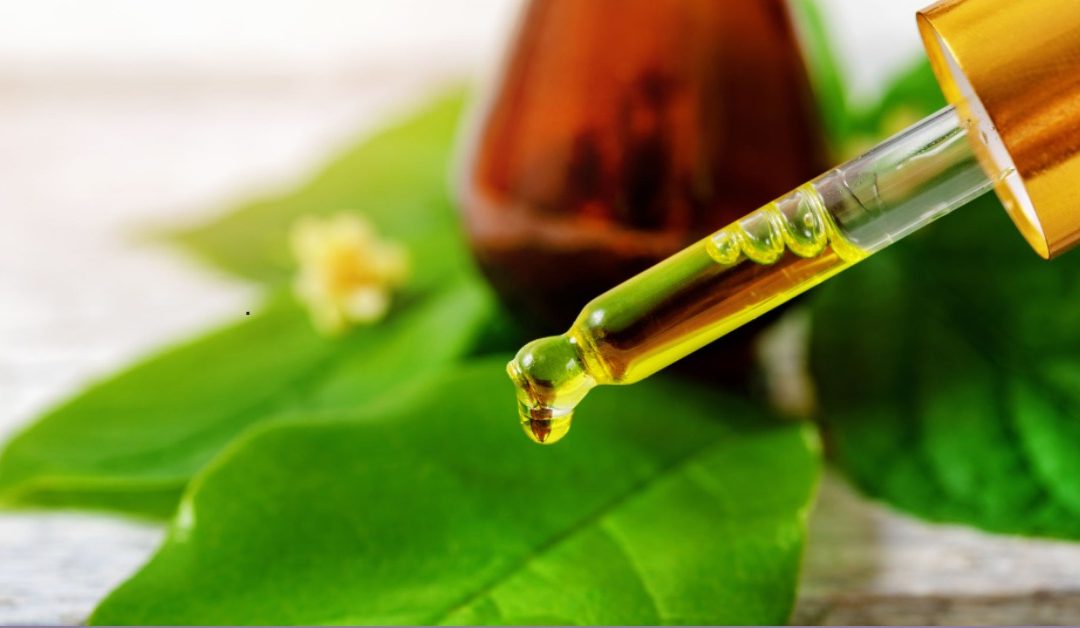 Top 10 Uses & Benefits of Tea Tree Oil